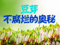臭氧發(fā)生器在豆芽生產中的應用