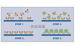 臭氧作為氧化前體在ALD加工中的應用