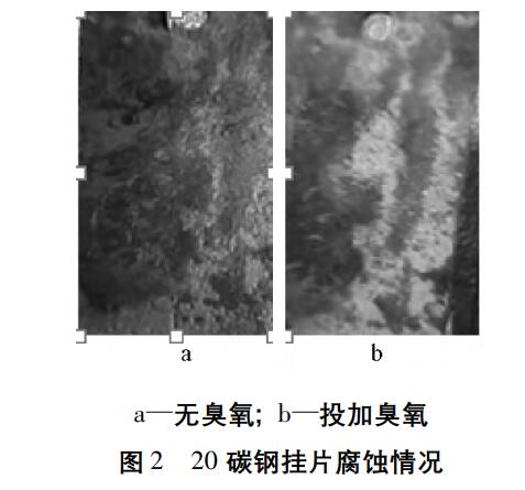 臭氧實驗流程