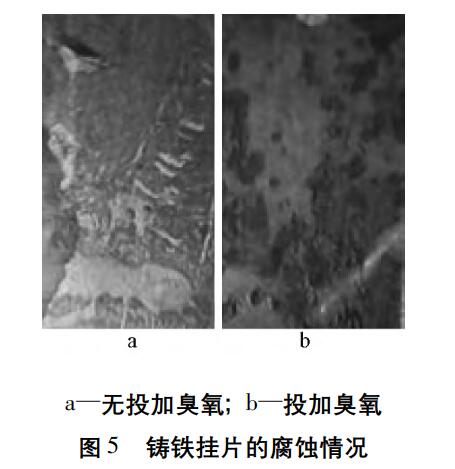 臭氧實驗流程