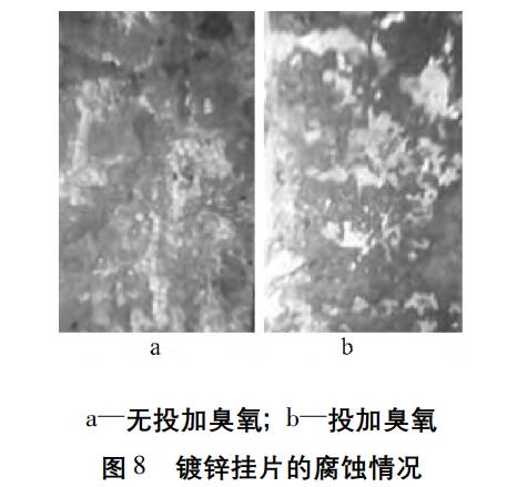臭氧實驗流程