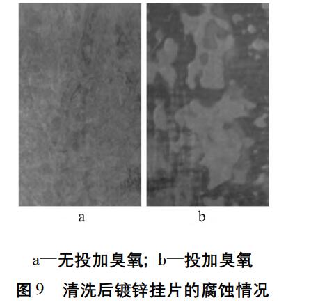 臭氧實驗流程